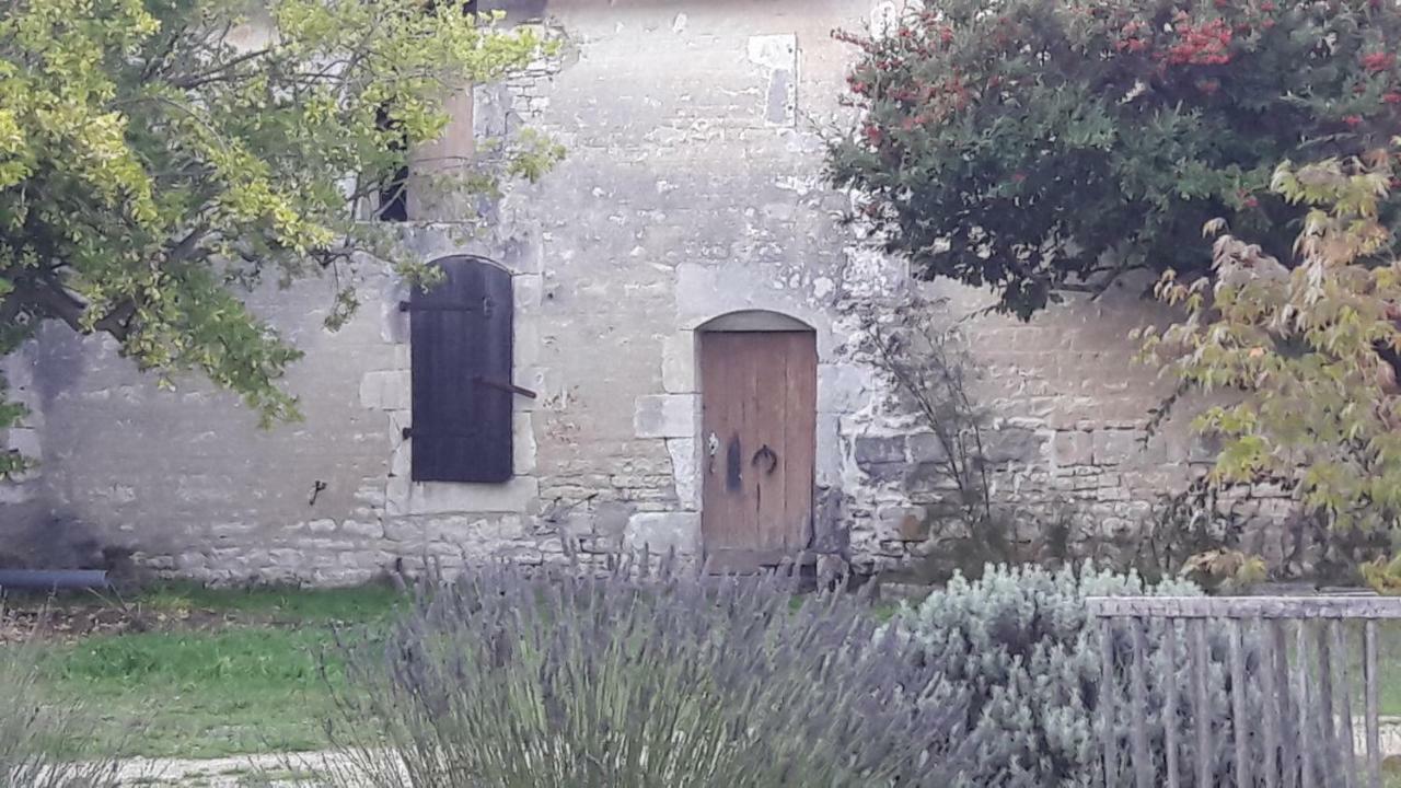 Bed and Breakfast Le Dojo Du Plessis Mareuil  Exteriér fotografie
